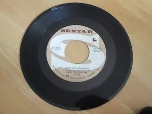 NEW COLONY SIX - LOVE YOU SO MUCH B/W- LET ME LOVE YOU VG+ 1967 - Foto 1 di 1