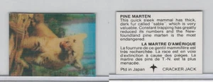 F-Karte, Cracker Jack, gefährdete Arten 3D, 1973, Pine Martin - Bild 1 von 1