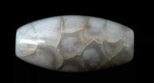 Rare Swat Valley Multi-Eye Dzi Bead with Stripes - 2.6g 18-20mm Ancient #L715 - Picture 1 of 4