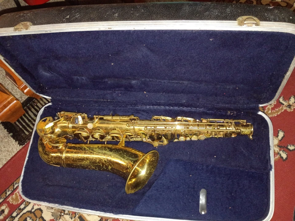 Instrumento musical saxofón alto con estuche rígido Foto 1 de 2