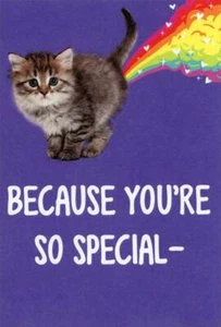 Kitten and Rainbow Because You're Special Funny Cat Valentines Day Card - Picture 1 of 2
