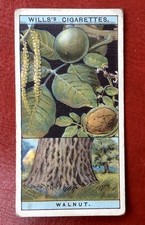 (A79) WILLS’s “FLOWERING TREES & SHRUBS” Card No 45
