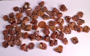 #8128 Large Single Crystal Vanadinite - Morocco [1 PIECE ONLY] - Bild 1 von 7