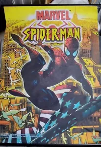 Vintage 2003 Marvel Spider-Man GE-9238 Canvas Roll-up Cloth Banner Poster 43" - Picture 1 of 6
