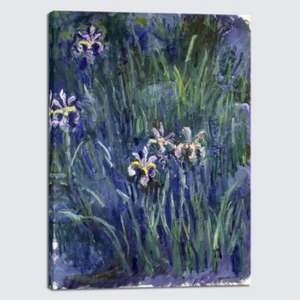 Canvas Print Wall Art Irises by Claude Monet Oil Paintings Landscape Pictures - Picture 1 of 9