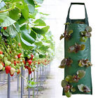 Hanging Strawberry Flowers Plant Grow Bag Planter Pouch Trailing W/ Holes Plants