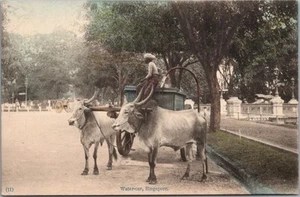 Postal "Coche de agua" Toros de bueyes/escena callejera de Singapur de la década de 1960 - coloreada a mano - Imagen 1 de 2