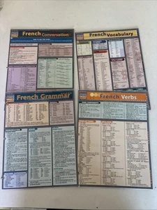 Lot Of 4 French Vocab, Verbs, Grammar Conversation,QuickStudy Reference Guides - Foto 1 di 9