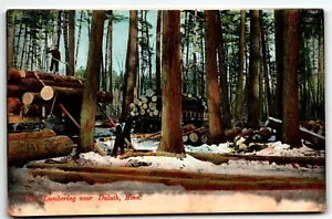 Holzfäller in der Nähe von Duluth Minnesota ungeteilte Rückseite Postkarte MN UNP - Bild 1 von 2