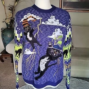 Blizzard Bay Halloween Embroidered Cat Wizard Hat  Knit Sweater Size S - Picture 1 of 10