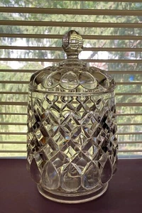 EAPG 1889 Adams Art/Job's Tears Cracker/Biscuit Jar 10"H 6"D - Picture 1 of 9