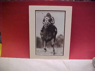 Secretariat Stretch Run Print 16x12 mate circa 1973 Foto 1 de 4
