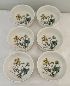 Set 6 Villeroy & Boch Botanica 5.25" Cereal Soup Bowls Linapis Arvensis All VG - Picture 1 of 5