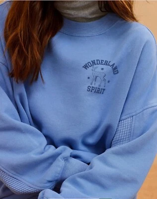 Sudadera Aerie Mujer Gran Tamaño Escapada Color Vitamina Mar Talla S Foto 1 de 4