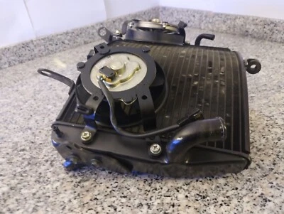 RADIATORE ACQUA YAMAHA YZF R1 ANNI 2004 2005 2006 - Imagen 1 de 4