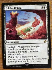 MTG Fondazioni, Ritiro Felidar - Foto 1 di 1