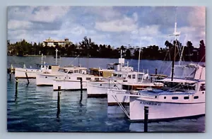Postcard Vtg Florida Sarasota Boats Tied To The Municipal Dock - Picture 1 of 2