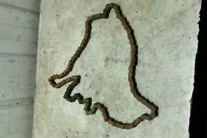 75 Suzuki RE5 RE 5 Rotary Wankel drive chain - Picture 1 of 5