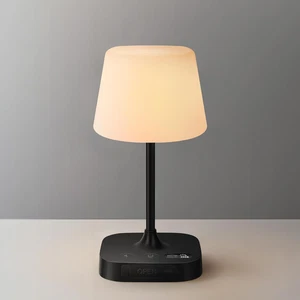 Webcem Rechargeable Table Lamp 8000Mah, IP65 Waterproof Shower Lamp, Cordless... - Picture 1 of 12