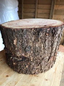 Large  Rustic log Stump/trunk Ideal Garden Stool or Feature Woodland Wedding - Picture 1 of 9