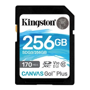 Carte mémoire de lecture Kingston 256 Go SDXC Canvas Go Plus 170 Mo SDG3 256 Go - Photo 1 sur 3