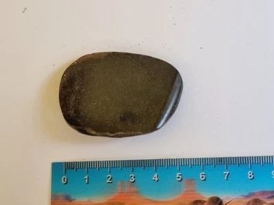 Iguanodon dinosaur fossil polished bone from Isle of Wight UK - Image 1 of 2