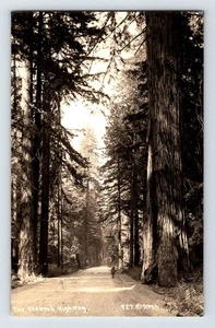 Cartolina RPPC California Redwood Highway Patterson anni '30 pubblicata - Foto 1 di 2