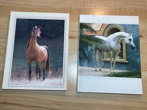 Arabian Horse World Magazine May 2003 February 2004 White Brown Stallion Cover - Picture 1 of 22