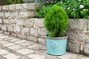 Pflanzgefäß Blumentopf Modell "Provence I" 34cm Grün Celadon Keramik Frostfest - Bild 1 von 15