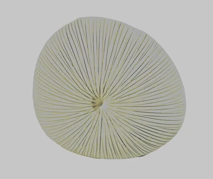 Lamelle Handarbeit Mini Diva Vase Thailand Kunsthandwerk Bio Modern Neutral Skulptur - Bild 1 von 11