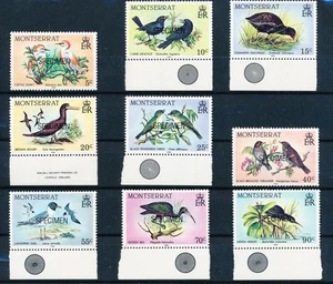 LS65659 Montserrat 1984 specimen overprint birds edges MNH - Picture 1 of 1