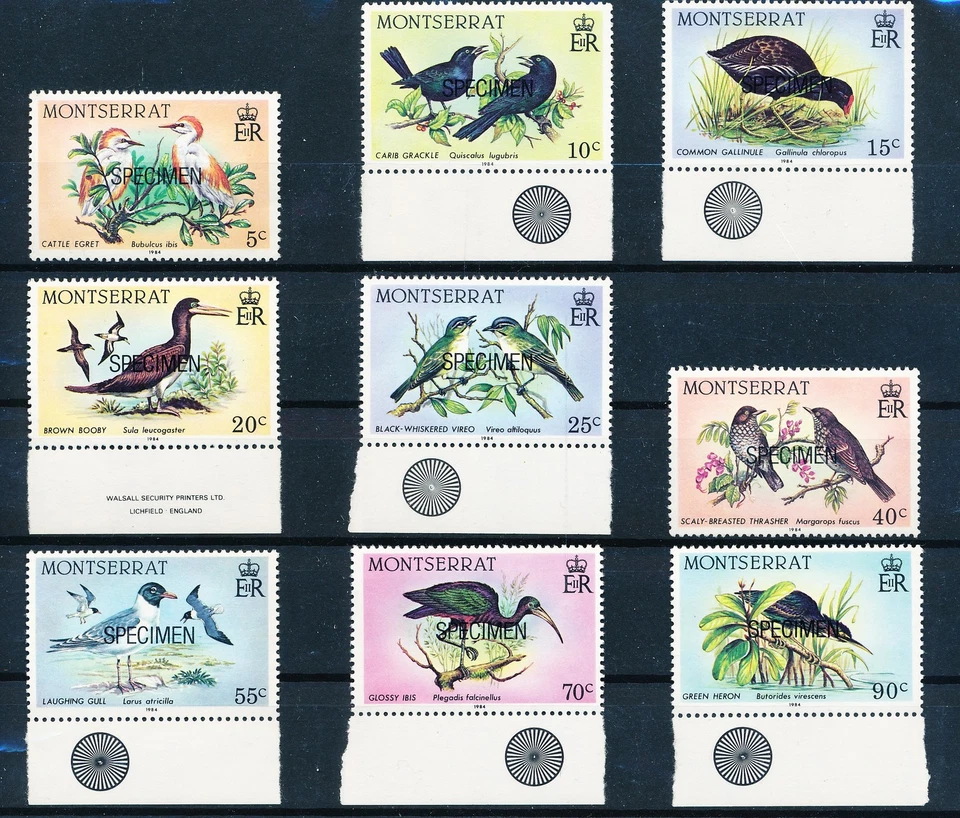 LS65659 Montserrat 1984 specimen overprint birds edges MNH - Image 1 of 1