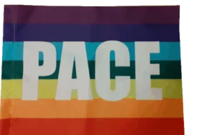 FLAG OF PEACE CM 70 X 100 RAINBOW PEACE WITH LACES ITALIAN PRODUCTION - Picture 1 of 1