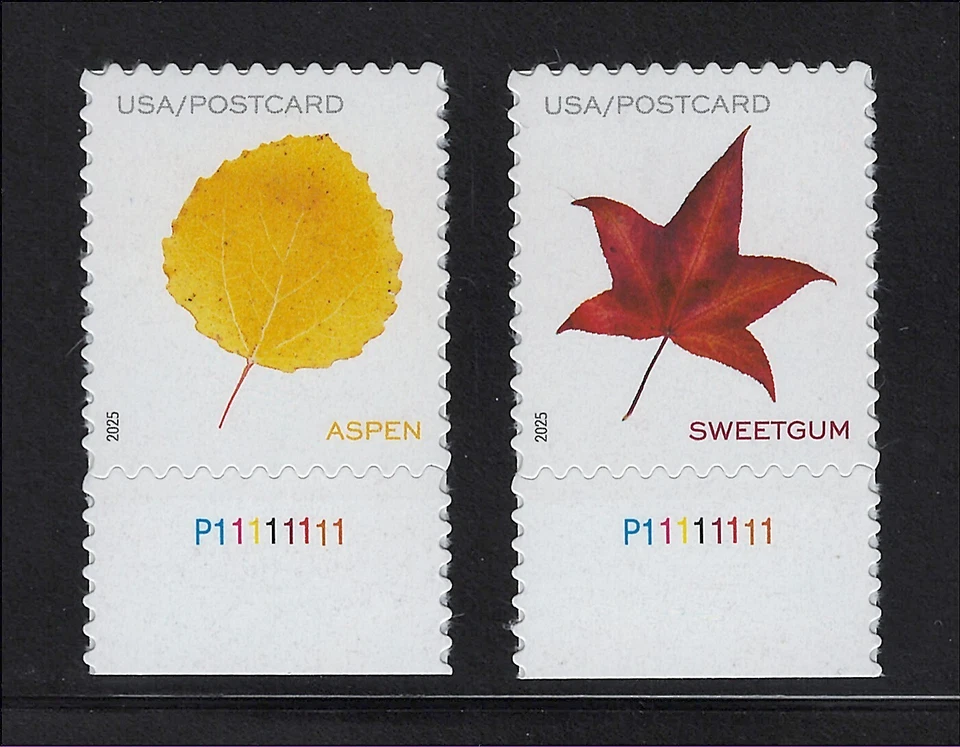 US Scott # 5966 & 5970 Vibrant Leaves Post Card Rate MNH Plate # Singles 2025 - Image 1 of 1
