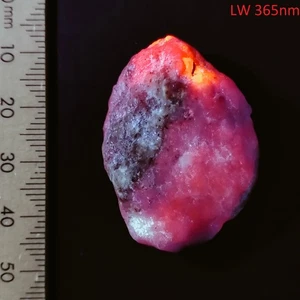 Hackmanita Flogopita Urani-nita LW y SW Fluorescente Tenebrescente Mineral 100ct - Imagen 1 de 10