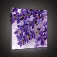 CANVAS WANDBILD LEINWANDBILD FOTO KUNST NATUR HIRSCH BAUM BLATT GRAU 3FX2365O4