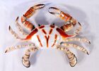 Hand Painted 10" Dotted Blue Crab Wall Mount Decor Sculpture 43A-dot