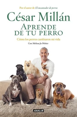 Aprende de tu perro : cómo los perros cambiaron mi vida [Spanish] [Paperback] - Image 1 of 2