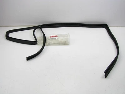 NUEVO SELLO RESISTENTE AL CLIMA para ventana de puerta trasera derecha OEM para 15-16 Kia Cadenza Foto 1 de 4