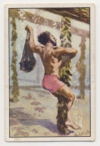 TAUCHEN NACH AUSTERN OYSTERS HUÎTRES JAGD FANG IMAGE CARD 1930's - Picture 1 of 2