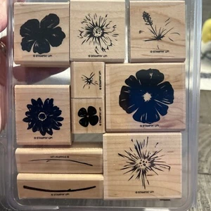 Stampin up Greenhouse Garden Set of 10 Stamps - Picture 1 of 9