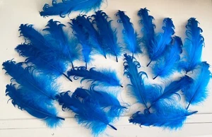 Bundle 21pcs lagoon blue Curly Goose Feathers Ideal Crafts, Costumes, Millinery - Picture 1 of 7
