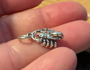 Sterling Silver 10x17mm Scorpio Scorpion Zodiac Charm - Picture 1 of 8