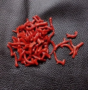 Piedras preciosas áspera pulidas coral rojo rama pequeña rama 100 % natural - Imagen 1 de 6