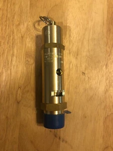 Kingston Valve 118CSS-5-050 3/4" ASME, Pop Safety Valve, 50 PSI. cx - Picture 1 of 3