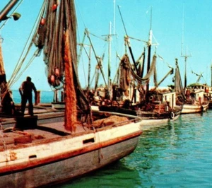 Ship Boats Fleet Fisherman Shrimpers Anchored At Port Florida Vintage Postcard - Picture 1 of 3