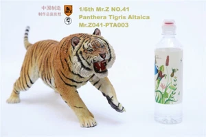 Figura de tigre siberiano Mr.Z 1/6 animal pantera tigris altaica modelo juguete de resina - Imagen 1 de 25