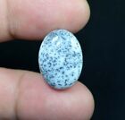 12.10 Cts. 100% Natural Dendrite Opal Oval Cabochon Loose Gemstones