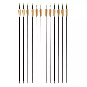 12 Fiberglaspfeile Pfeile Fiberglaspfeil Recurvebogen Sportbogen Bogenpfeile - Bild 1 von 2