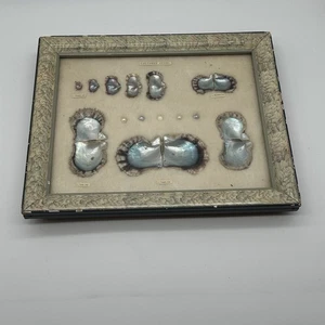 Espositore crescita perle coltivate vintage conchiglia incorniciata Giappone decorazione tiki 5 perle - Foto 1 di 12